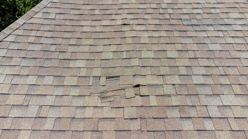 Asphalt Roof Inspection in Lewes, DE