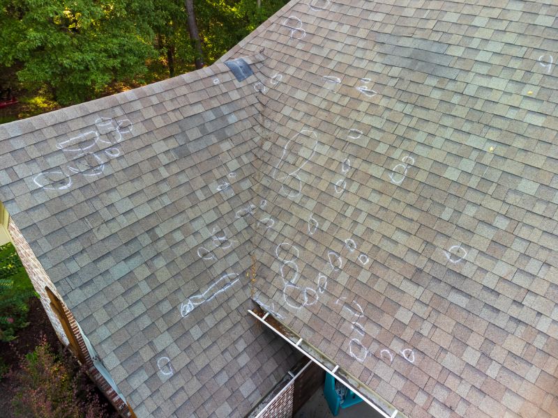 Asphalt Roof Inspection in Cape May County, NJ