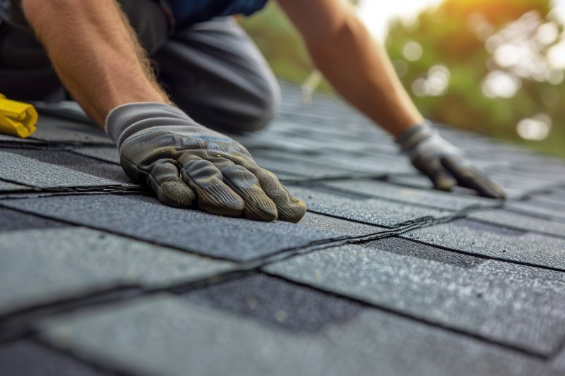 Asphalt Roof Leak Repair in Lewes, DE