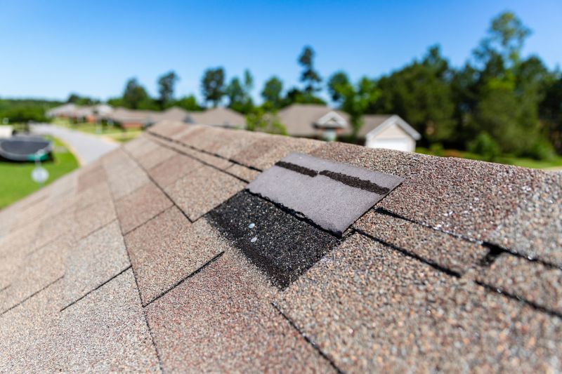 Asphalt Roof Leak Repair in Milton, DE