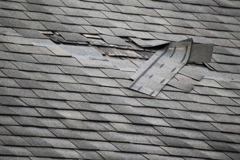 Asphalt Roof Repair in Cape May, NJ
