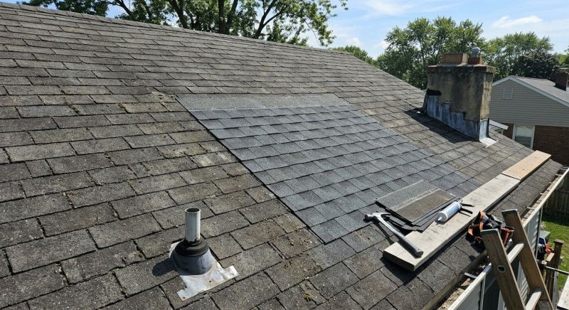 Asphalt Roof Repair in Dewey Beach, DE