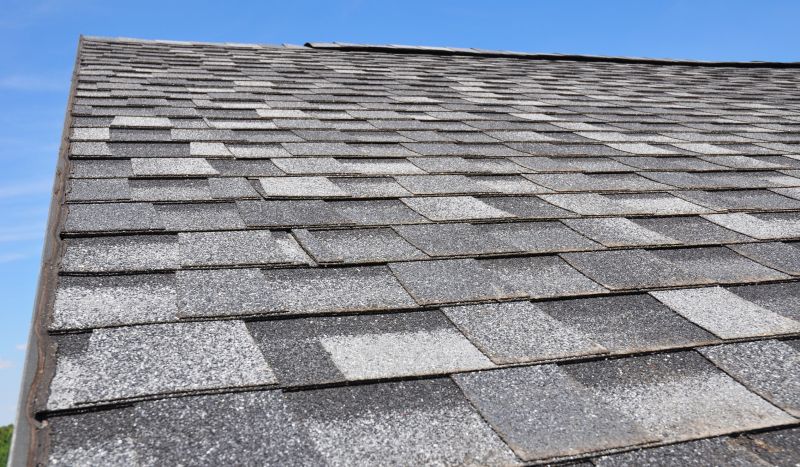 Asphalt Roofing Service in Cape May County, NJ