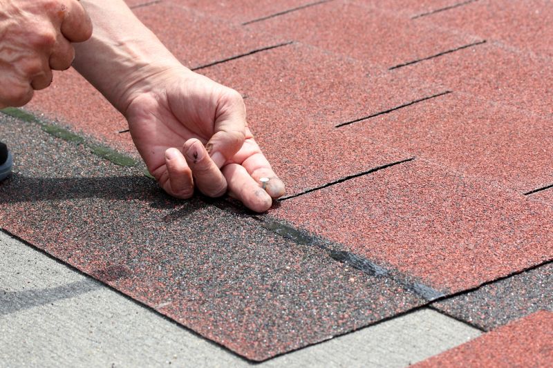 Asphalt Shingles Installation in Port Elizabeth, NJ