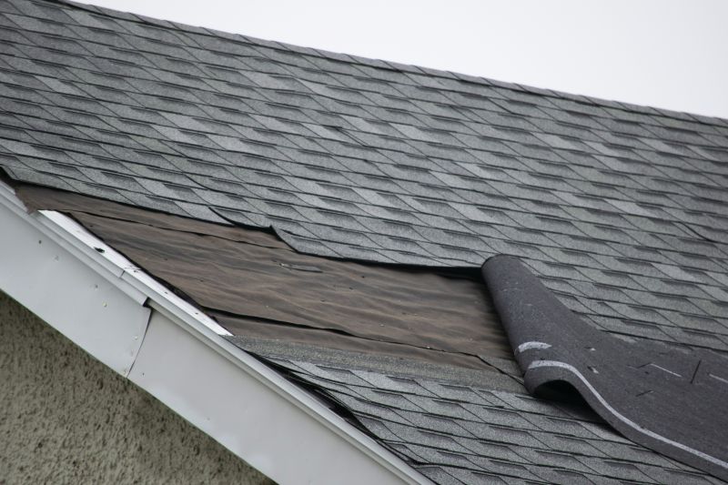 Asphalt Shingles Repair in Port Elizabeth, NJ