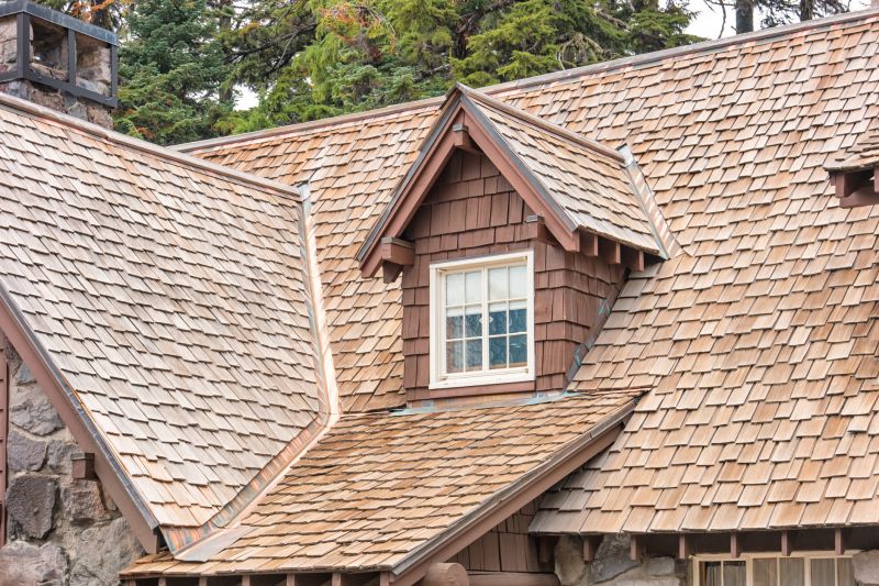 Cedar Shake Roof Repair in Cape May County, NJ