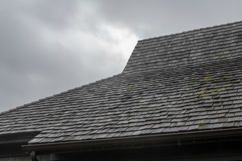 Cedar Shingles Replacement in Cape May County, NJ