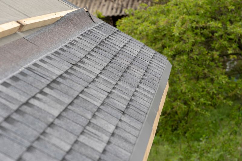 Damaged Roof Repair in Avalon, NJ