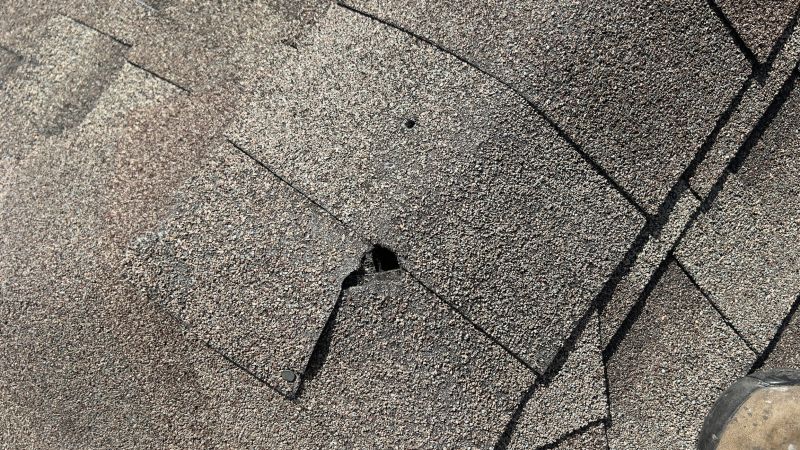 Damaged Roof Repair in Cape May Court House, NJ