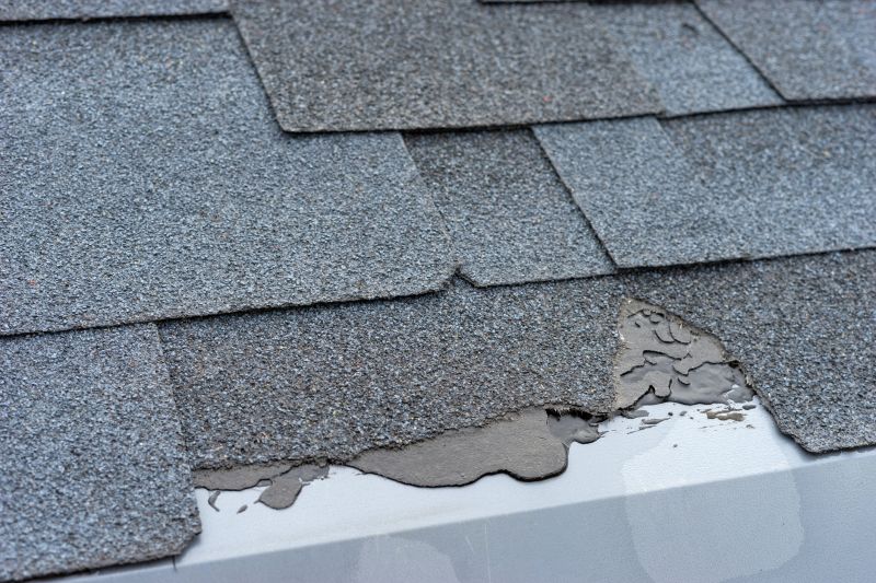 Damaged Roof Repair in Stone Harbor, NJ