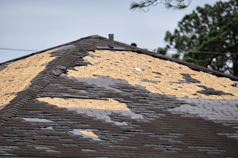 Roof Damage Inspection in Ocean View, NJ