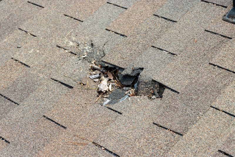 Shingle Roof Replacement in Avalon, NJ