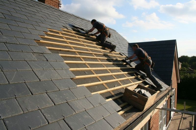 Slate Roof Replacement in Port Elizabeth, NJ