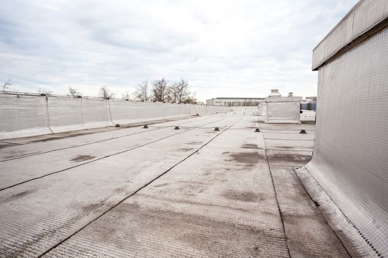 Tpo Roof Repair in Port Elizabeth, NJ