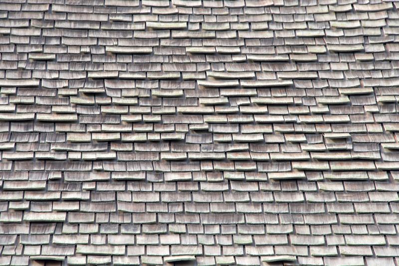 Wood Shingles Repair in Port Elizabeth, NJ
